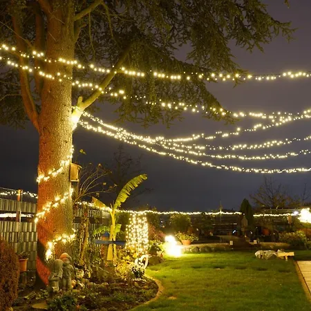 Schoene, Geraeumige Souterrain Mit Japangarten, Kostenlos Parkplatz *