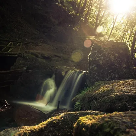 Appartamento Schoene, Geraeumige Souterrain Mit Japangarten, Kostenlos Parkplatz *