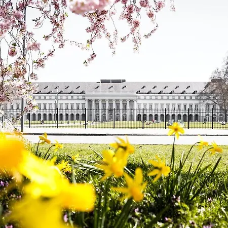 Schoene, Geraeumige Souterrain Mit Japangarten, Kostenlos Parkplatz
