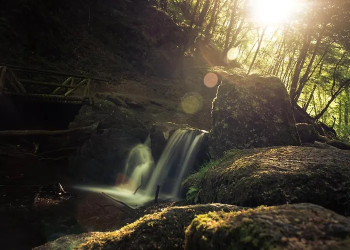 شقة Schoene, Geraeumige Souterrain Mit Japangarten, Kostenlos Parkplatz *